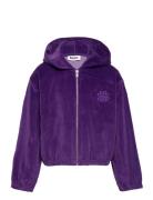 Madeleine Purple Molo