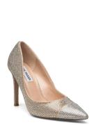 Evelyn-Cr Pump Silver Steve Madden