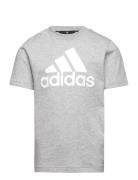 U Bl Tee Grey Adidas Sportswear