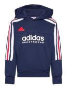 J Np Hoodie Navy Adidas Sportswear