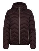 Frbapadding 1 Outerwear Brown Fransa