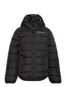 Hooded Jacket Black Champion