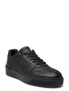 Low Top Lace Up Bskt Lth Black Calvin Klein