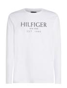 Big Hilfiger Ls Tee White Tommy Hilfiger