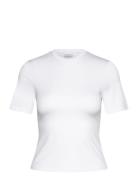 Julia T-Shirt White Noella