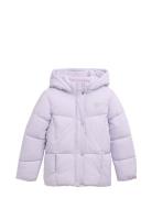 Puffer Jacket Purple Tom Tailor