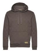 Jacquard Terry Hoodie Brown Scotch & Soda