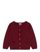 Cardigan Knit Burgundy Fixoni