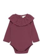 Tnsmy Hollie L_S Body Burgundy The New