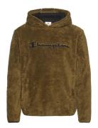 Hooded Top Khaki Champion