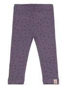 Legging Modal Dot Purple Petit Piao