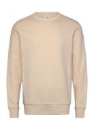 Plush Cotton Sweatshirt Cream Mango