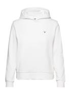 Reg Hoodie White GANT