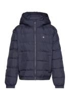 Shield Padded Jacket Navy GANT