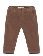 Cotton Corduroy Trousers Brown Mango