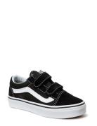 Uy Old Skool V Black VANS