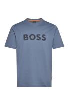 Te_Logotexture Blue BOSS