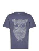 Regular Single Jersey Mountain Owl Blue Knowledge Cotton Apparel