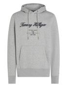 Script Logo Hoody Grey Tommy Hilfiger