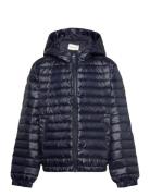 Shiny Light Padded Down Jacket Navy GANT