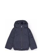 Harpo Navy Molo