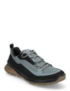 Ult-Trn M Blue ECCO