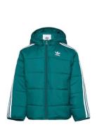 Padded Jacket Green Adidas Originals