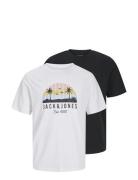 Jjpalm Tee Ss Crew Neck 2Pk Mp Black Jack & J S