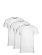 Basic 3 Pack T-Shirt White Lyle & Scott