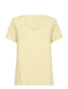 Crnaia Deep V-Neck T-Shirt Yellow Cream