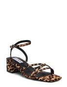 Gabby-L Sandal Brown Steve Madden