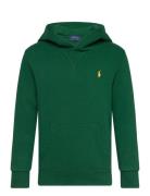 Fleece Hoodie Green Ralph Lauren Kids