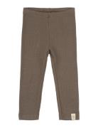 Legging Modal Brown Petit Piao