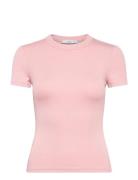 Short-Sleeved Fitted T-Shirt Pink Mango