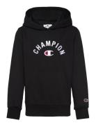 Hooded Sweatshirt Black Champion