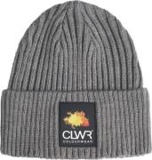 ColourWear Badge Beanie Grey Mel