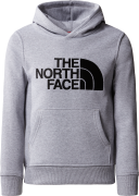 Boys' Drew Peak Pullover Hoodie TNF LIGHT GREY HEATHER