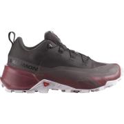 Salomon Women's Cross Hike GORE-TEX 2 Shale/Wild Ginger/Cradle Pink