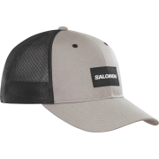 Salomon Trucker Curved Cap Frost Gray/Deep Black