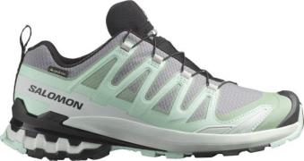 Salomon Women's XA Pro 3D V9 GORE-TEX Basic Grey