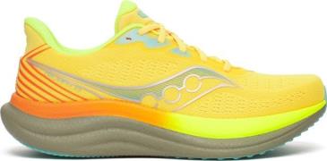 Saucony Men's Triumph 23 Vizigold/laurel