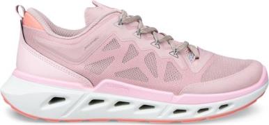 Ecco Women's Ecco Biom 720 Violet Ice/violet Ice/liliac Ciffon