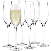 Holmegaard Cabernet Champagneglas 29 cl 6 st, Klar