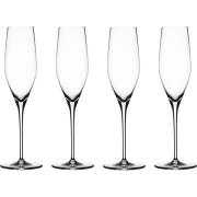 Spiegelau Authentis Champagneglas 19 cl 4pack