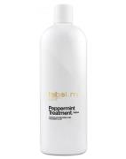 Label.m Peppermint Treatment 1000 ml