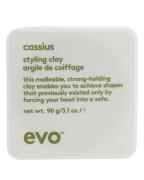 EVO Cassius Styling Clay 90 g