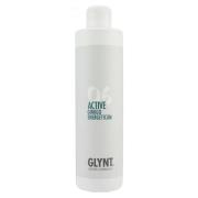 Glynt 06 Active Ginkgo Energeticum (U) (O) 500 ml
