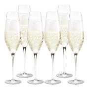 Holmegaard - Cabernet Champagneglas 29 cl 6-pack