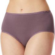 Schiesser Trosor 2P Modal Essentials Midi Briefs Lila/Svart bomull 38 ...