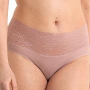 Anita Trosor Essential High Waist Lace Briefs Rosa Small Dam